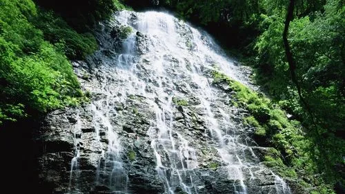 智能化高精度